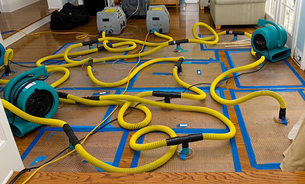 Professional Water Damage Repair technician working in Mertztown, PA